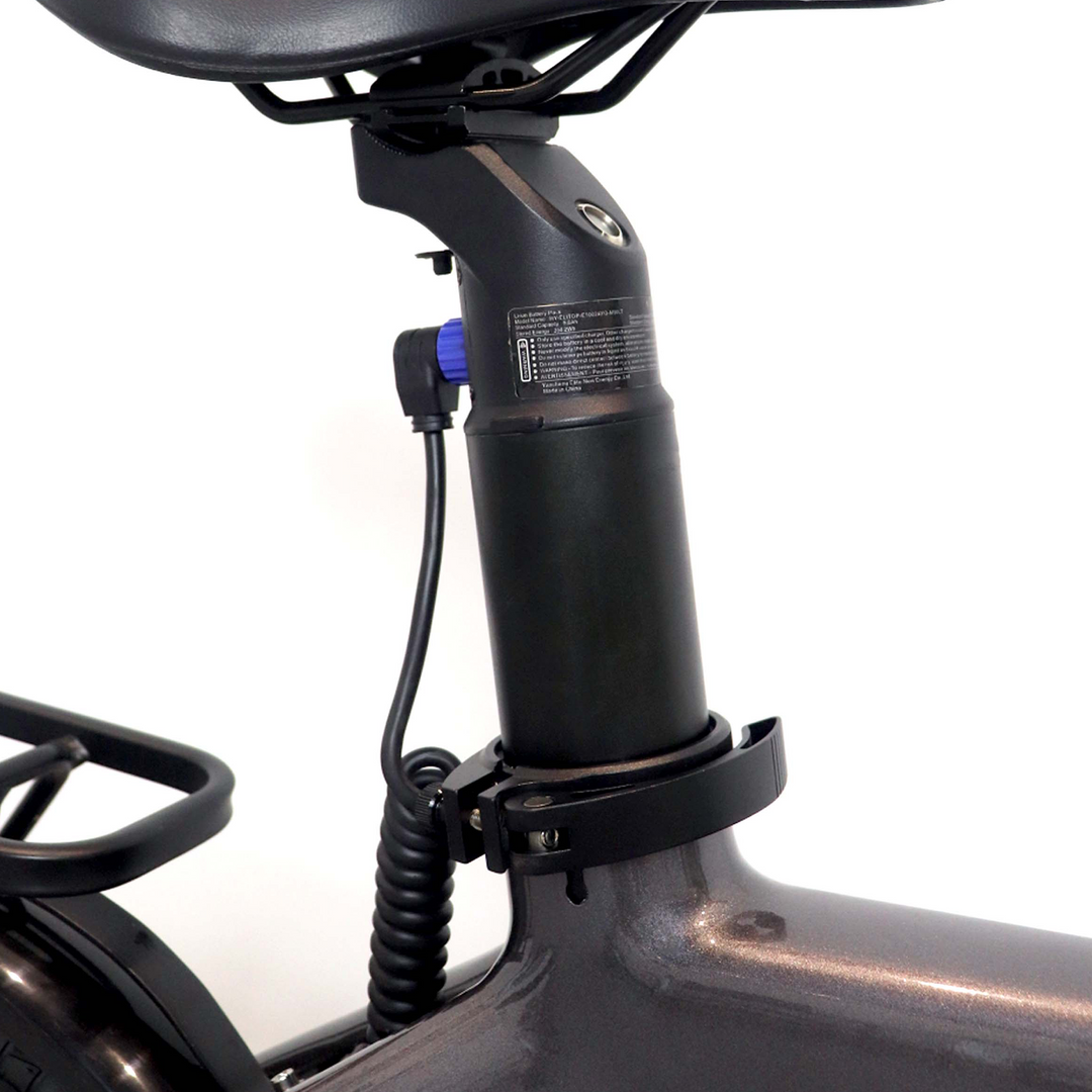 LG21700 Software Protection Electric Bike Battery